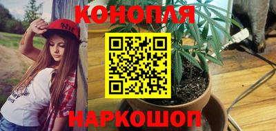 тгк Будённовск